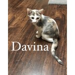 Adopted